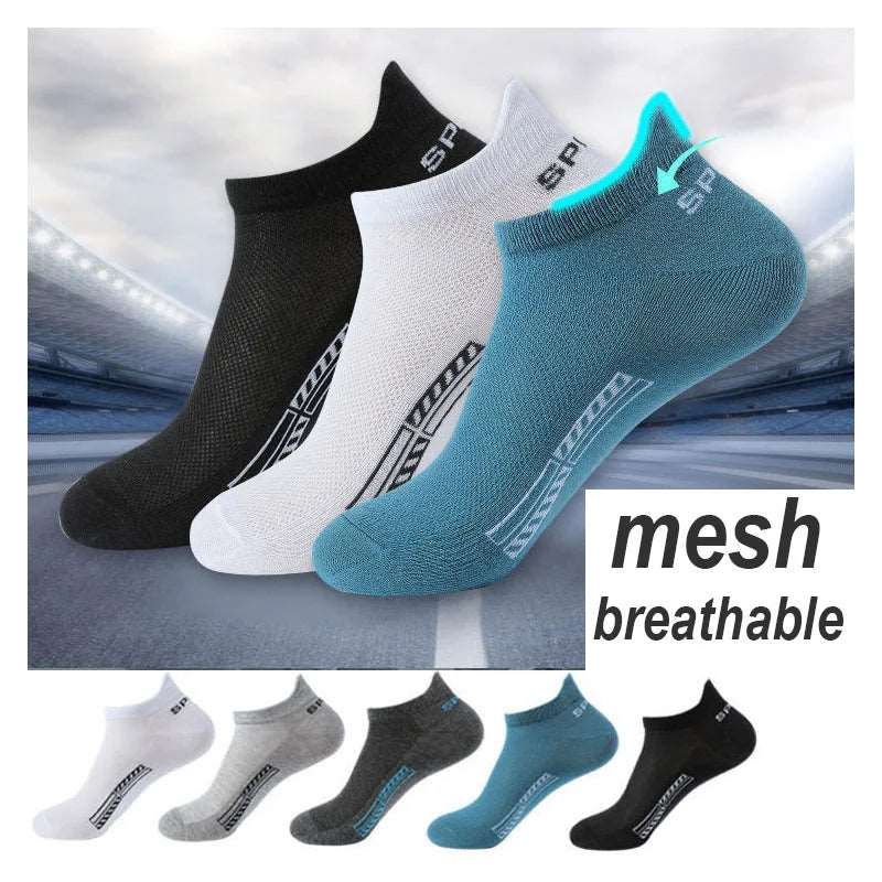 High Quality 10Pairs Men Socks Combed cotton 100% Summer Sports Sock Plus Size EUR38-48