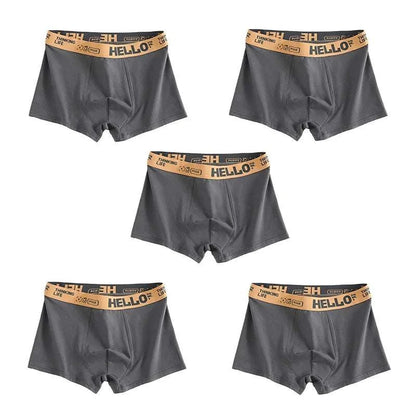 5pcs Mens Underwear Male Boxers Sexy Underpant Comfortable Breathable Discover Unmatched Comfort with Our 5pcs Men's Underwear Boxers
 Upgrade your underwear collection with our 5pcs Men's Underwear Boxers. Designed for the modern man,5pcs Mens Underwear Male Boxers Sexy Underpant Comfortable Breathable FashionMENLL