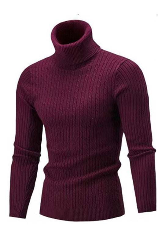 Cozy Elegance: Men's Slim-Fit Turtleneck Knit Pullover for Autumn-Winter